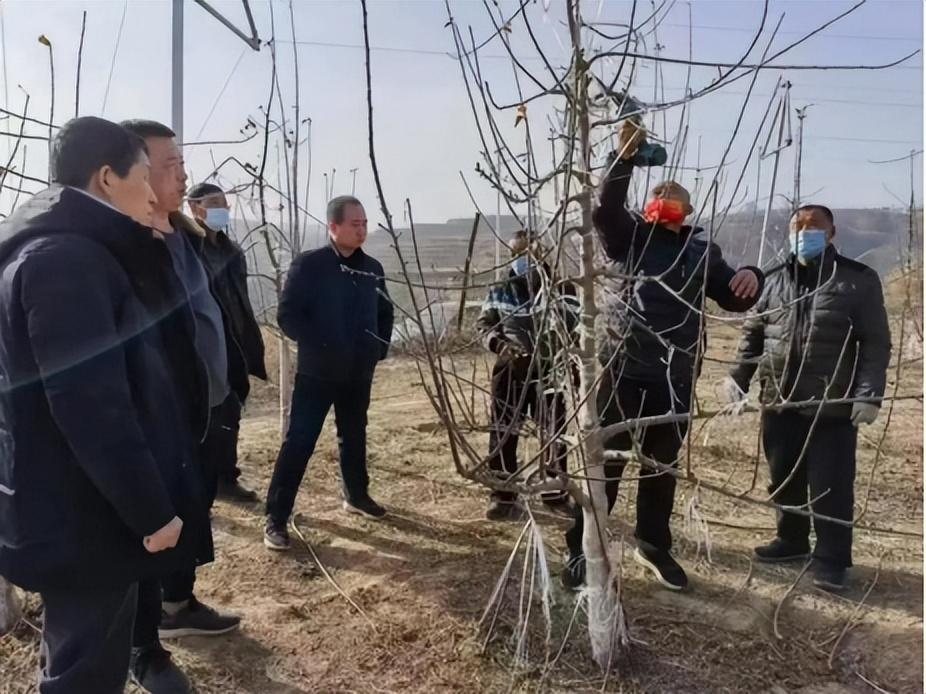 微信图片_20230301205427.jpg