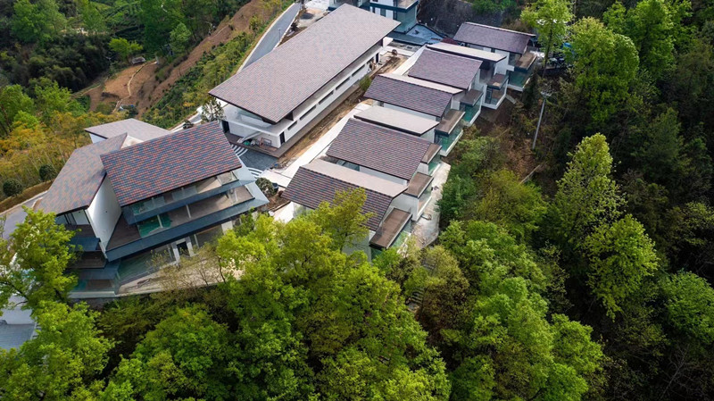 俯瞰民宿康养园.jpg