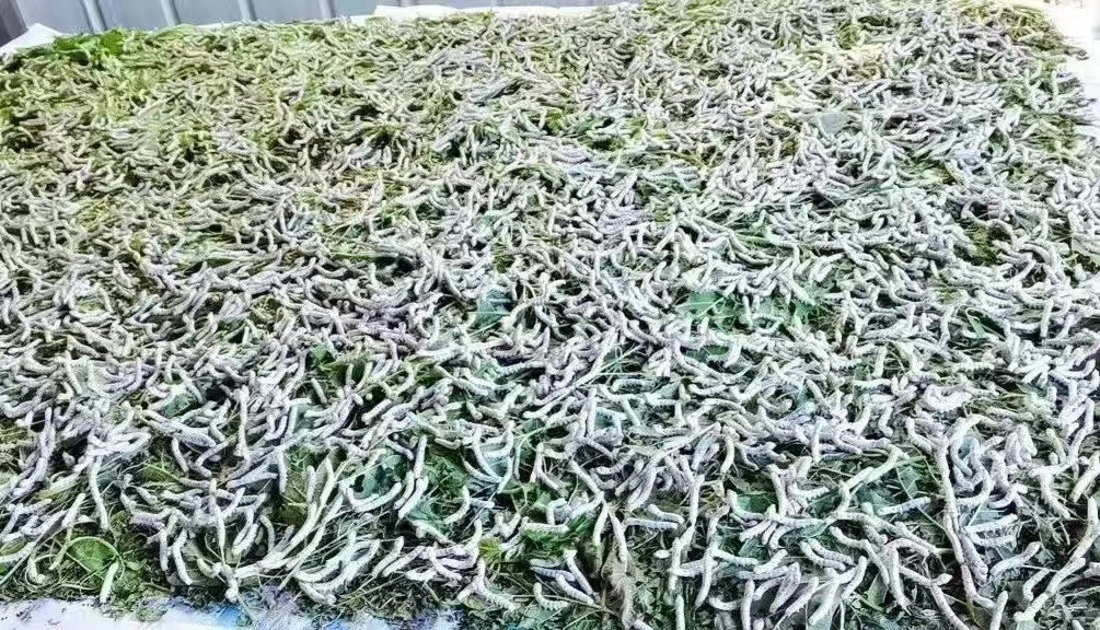 微信图片_20230707092824.jpg
