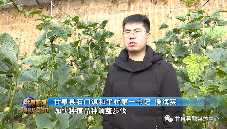 图片10.png