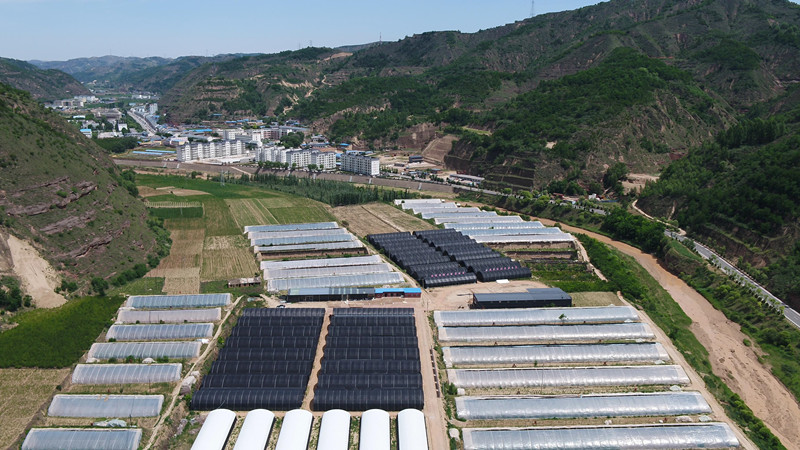 志丹县食用菌产业扶贫基地（该基地目前带动67户贫困户）.JPG