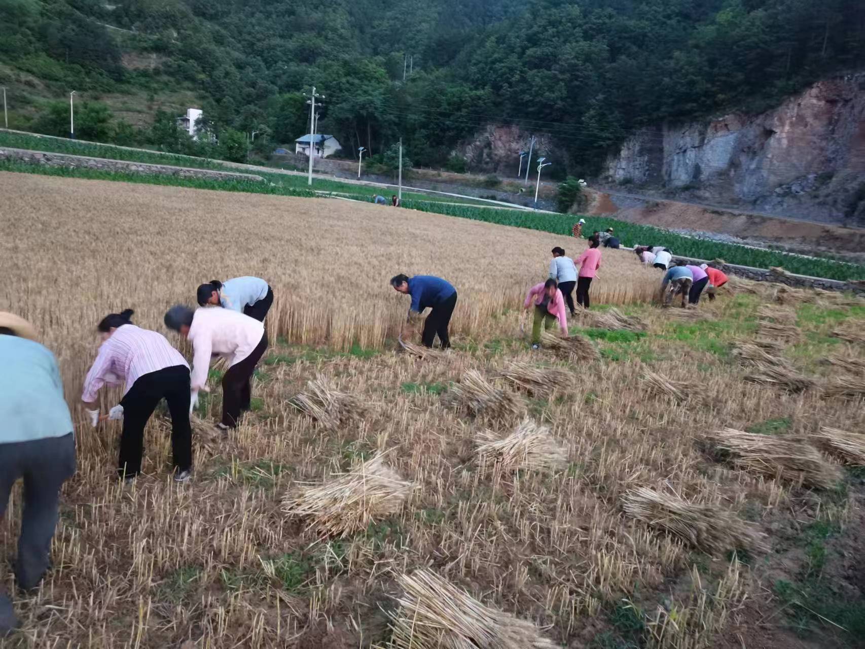 微信图片_20240531120113.jpg