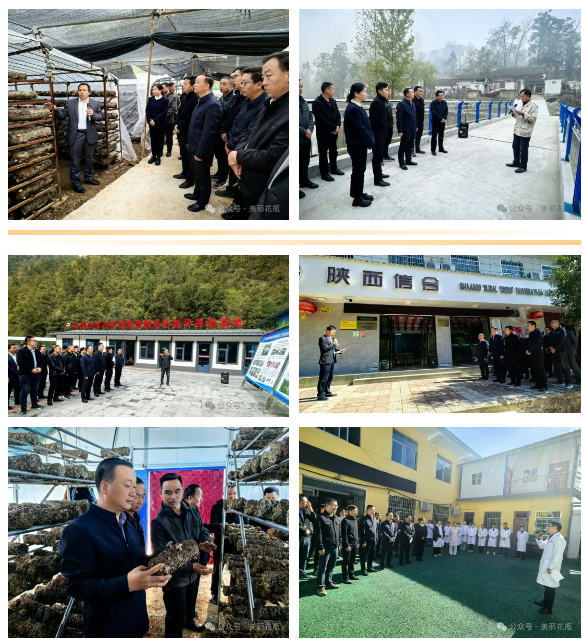 QQ20241025-160216.png