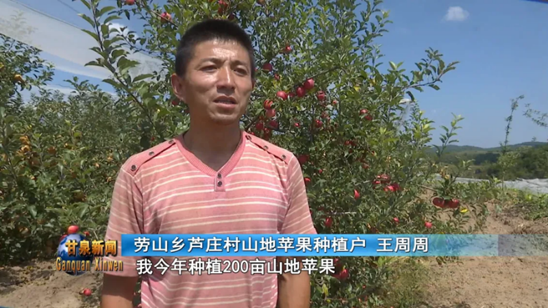 图片122.png