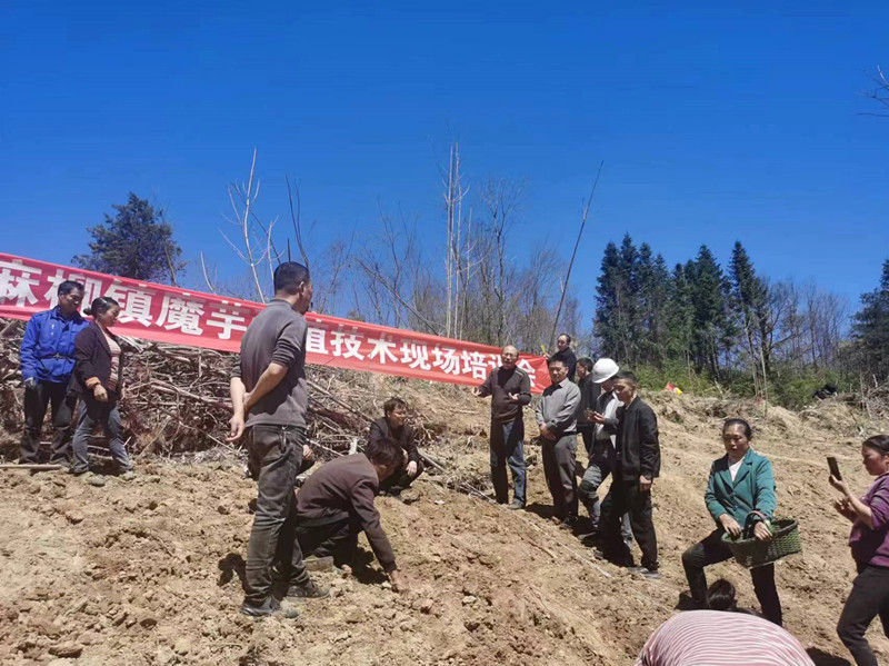 微信图片_20240401113618.jpg