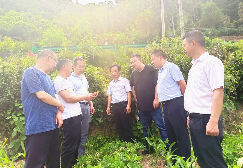 与三坝村支部联建.jpg